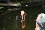 DSC_9164.JPG